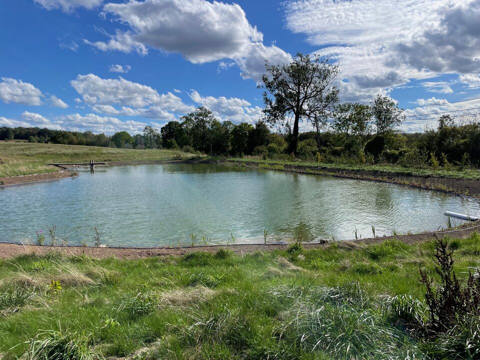 Le plan d'eau de la malterie, bordé de prairies et d'arbres