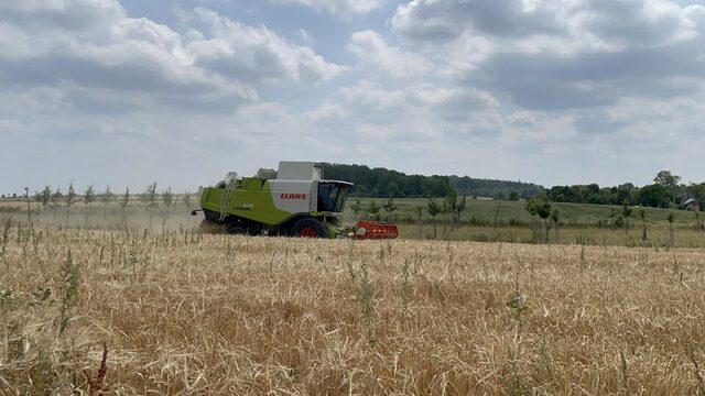 Moisson de l'orge dans les champs autour de la malterie